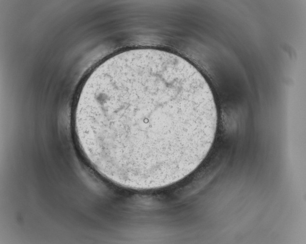 X0000113910534200910081852