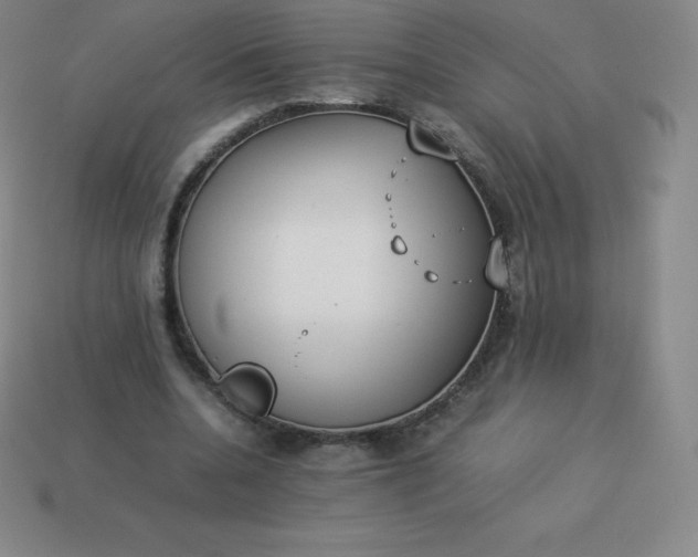 X0000113910536200910081852