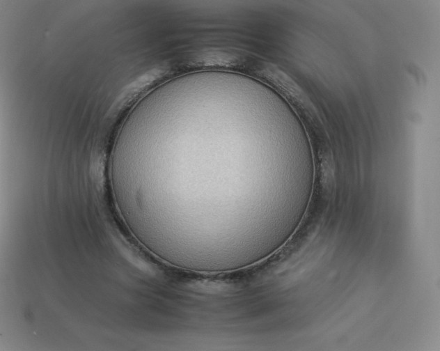 X0000113910537200910081852