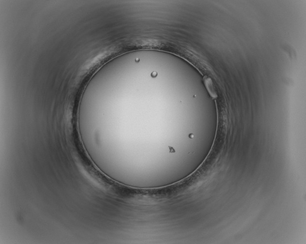 X0000113910538200910081852