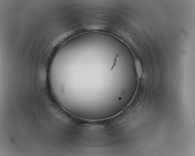 X0000113910539200910081852