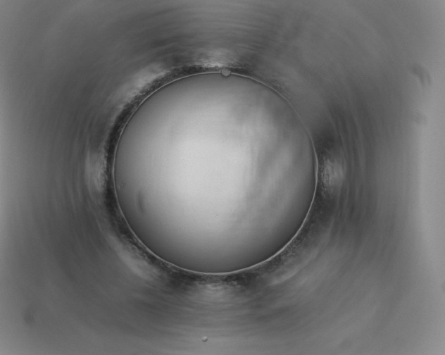 X0000113910540200910081852