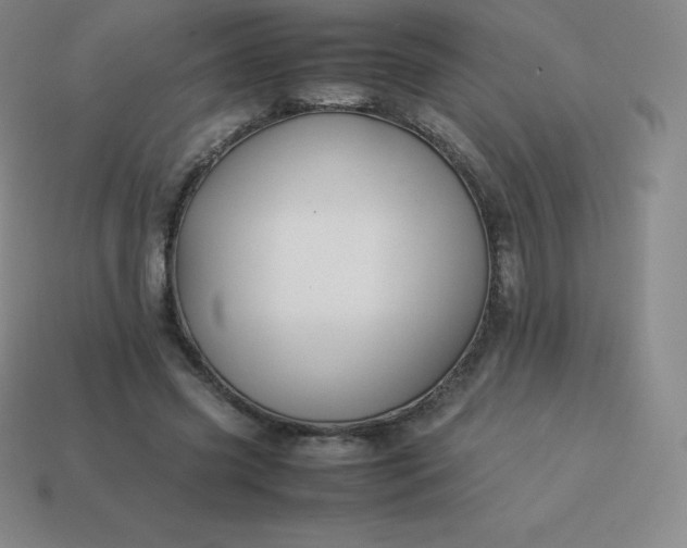 X0000113910541200910081852