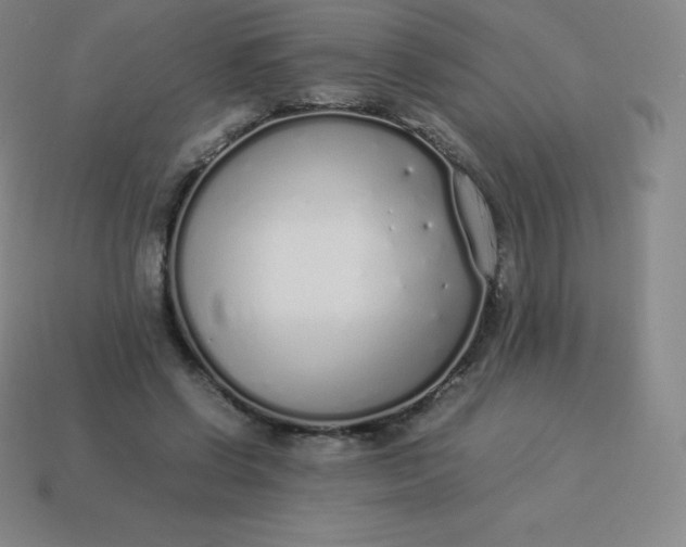 X0000113910542200910081852