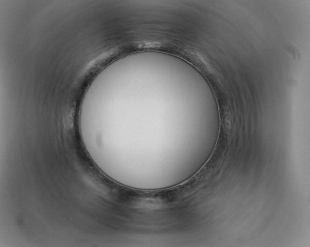 X0000113910543200910081852