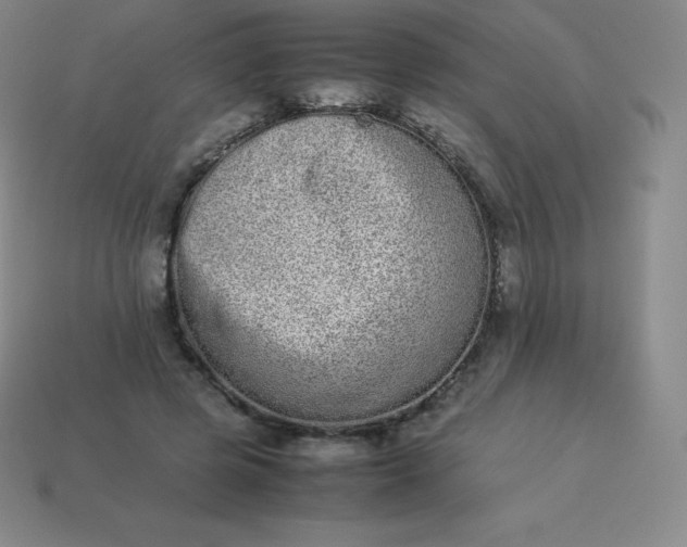 X0000113910545200910081852