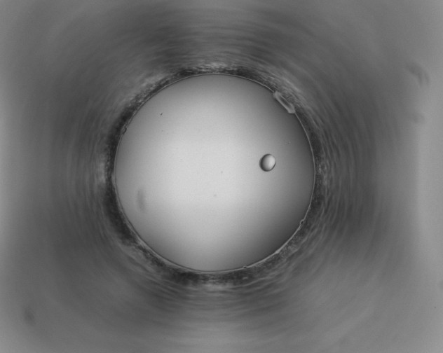 X0000113910546200910081852