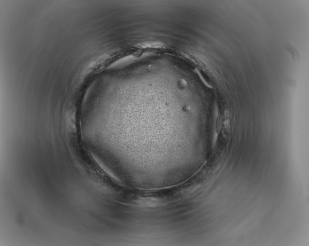 X0000113910547200910081852