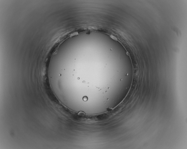 X0000113910548200910081852