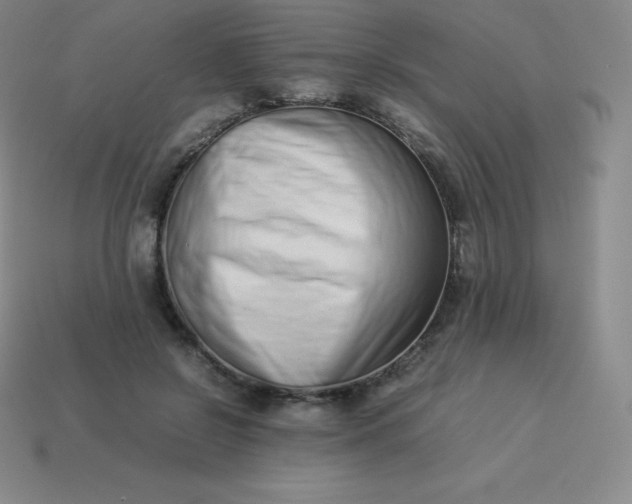 X0000113910550200910081852