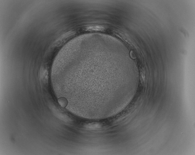 X0000113910551200910081852