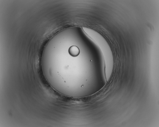 X0000113910552200910081852