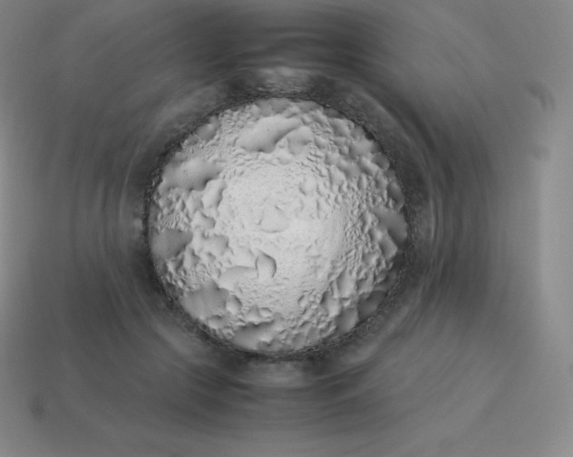 X0000113910553200910081852