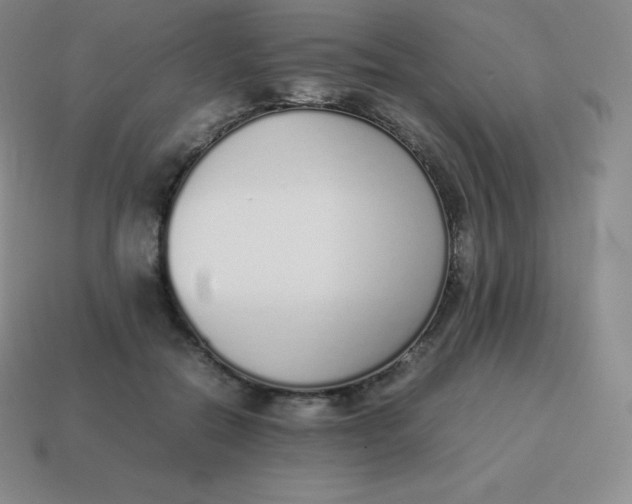 X0000113910554200910081852