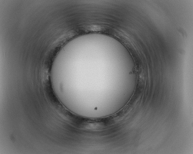 X0000113910555200910081852