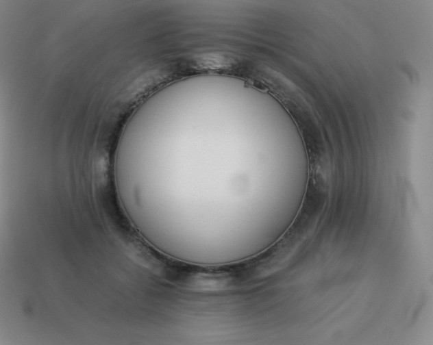 X0000113910556200910081852