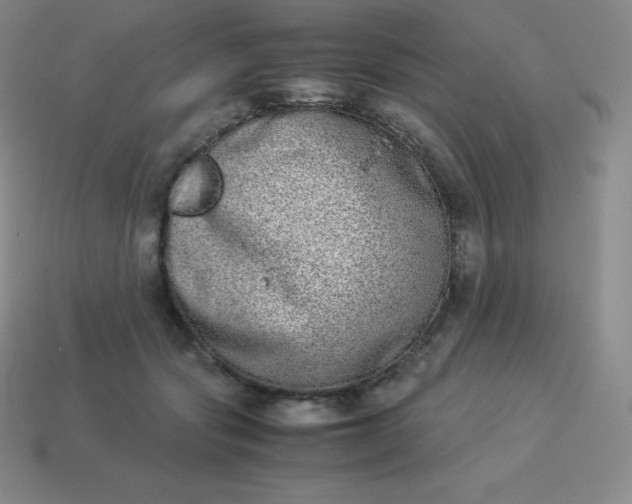 X0000113910557200910081852