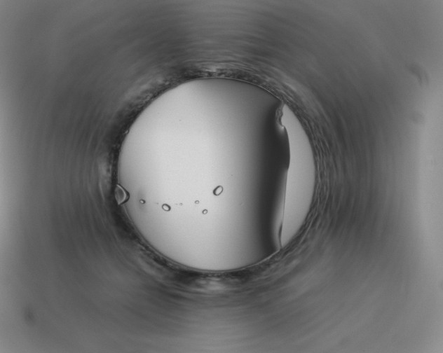 X0000113910558200910081852