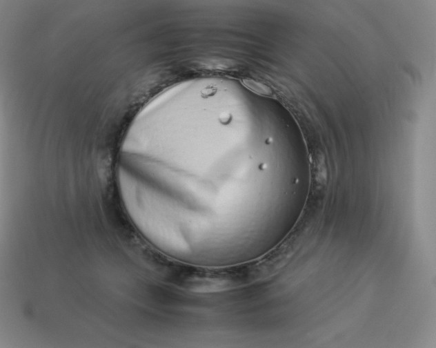 X0000113910559200910081852