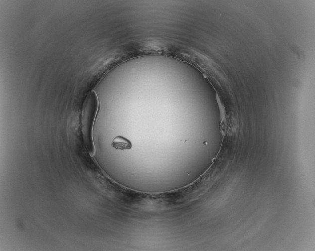 X0000113910560200910081852