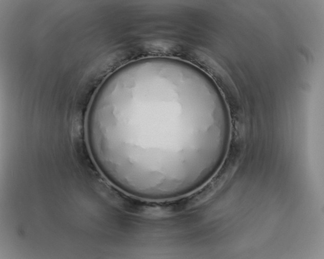 X0000113910561200910081852