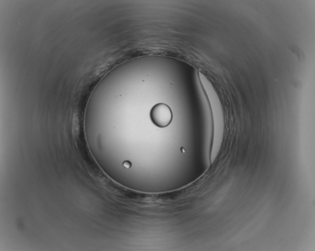 X0000113910562200910081852