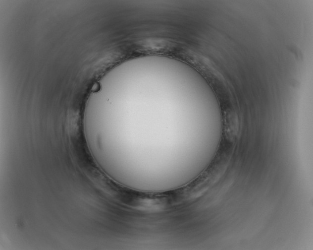 X0000113910563200910081852