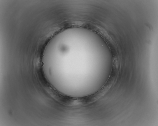 X0000113910564200910081852