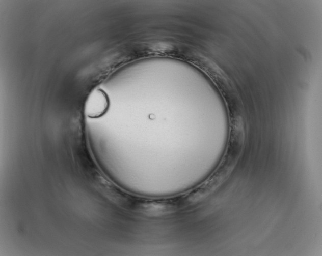 X0000113910565200910081852