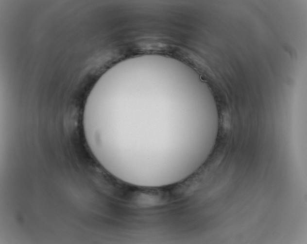 X0000113910567200910081852