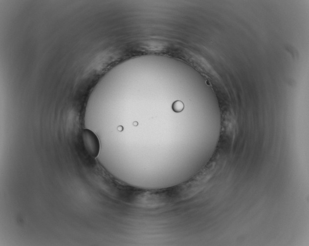 X0000113910568200910081852