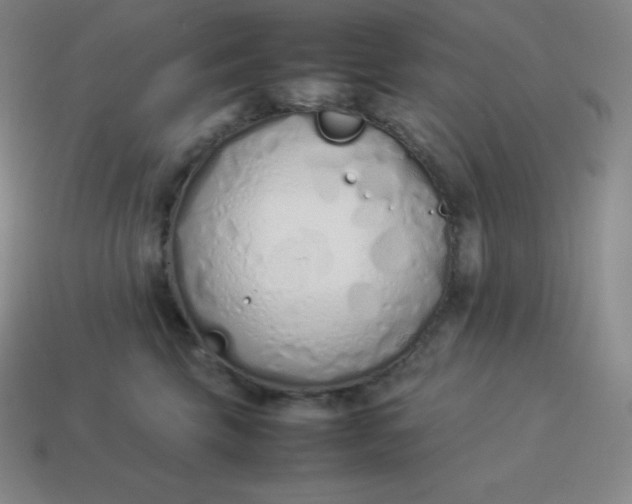 X0000113910569200910081852