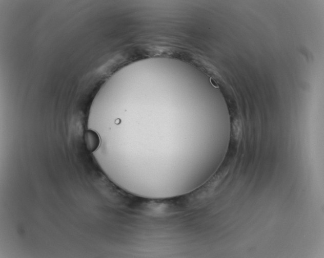 X0000113910570200910081852