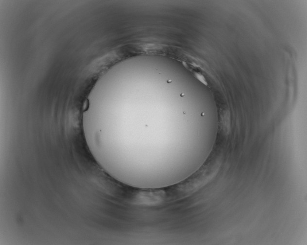 X0000113910571200910081852