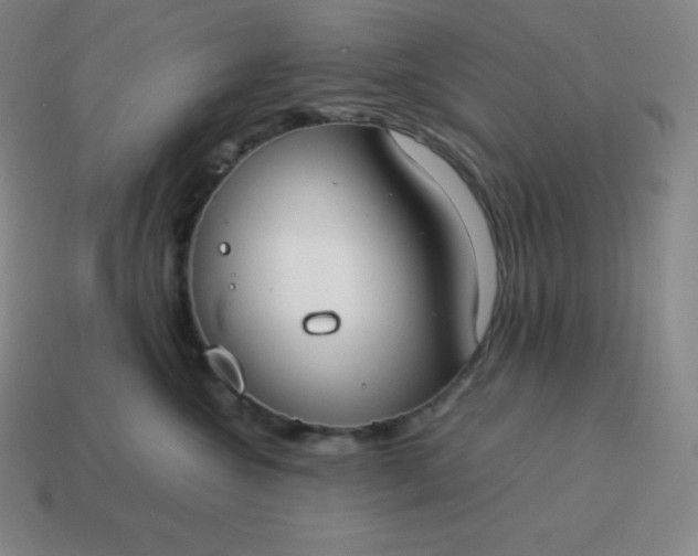 X0000113910572200910081852