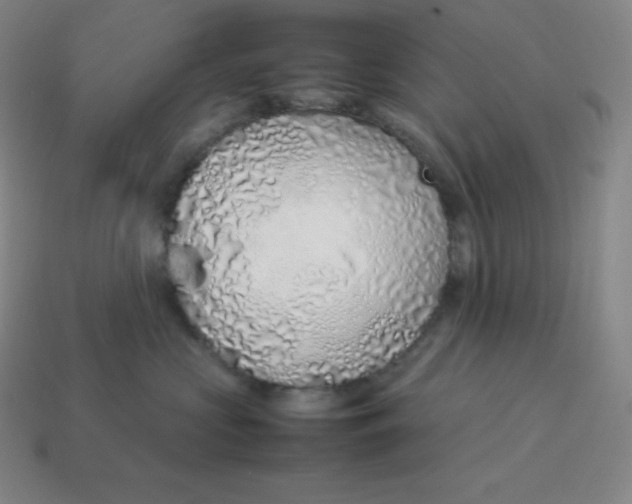 X0000113910573200910081852