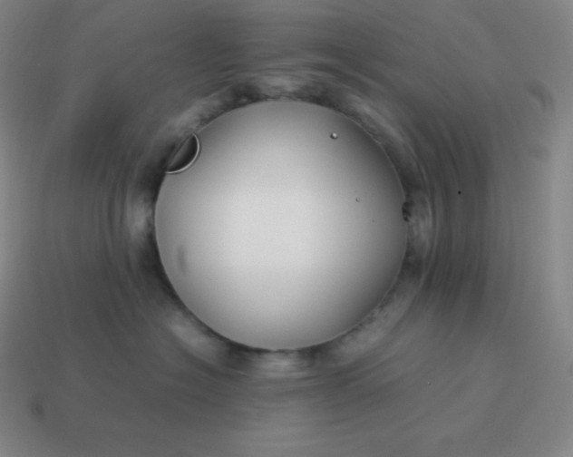 X0000113910574200910081852