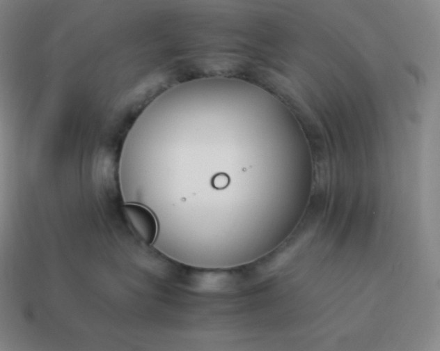 X0000113910575200910081852