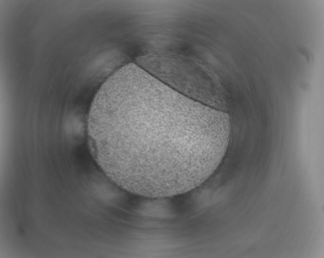 X0000113910576200910081852