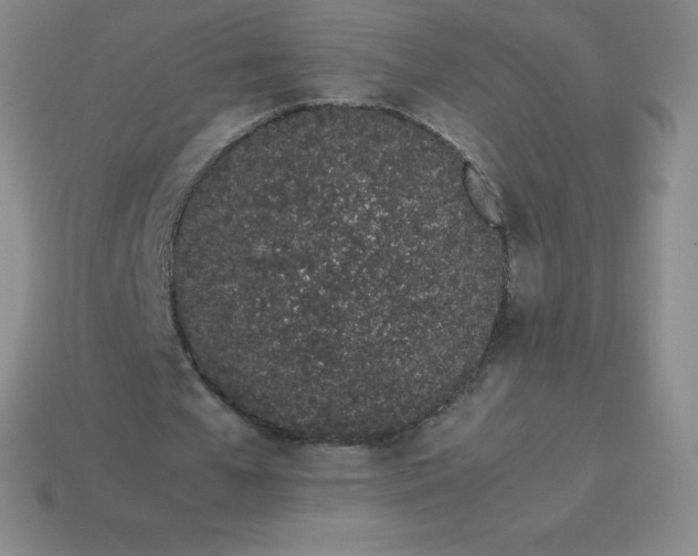 X0000113910577200910081852