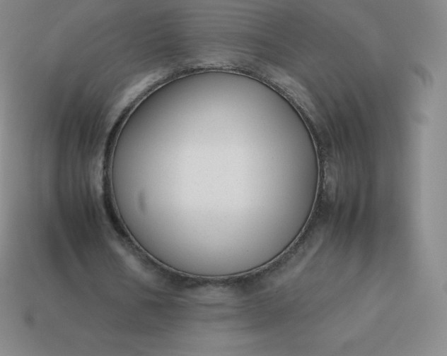 X0000113910578200910081851