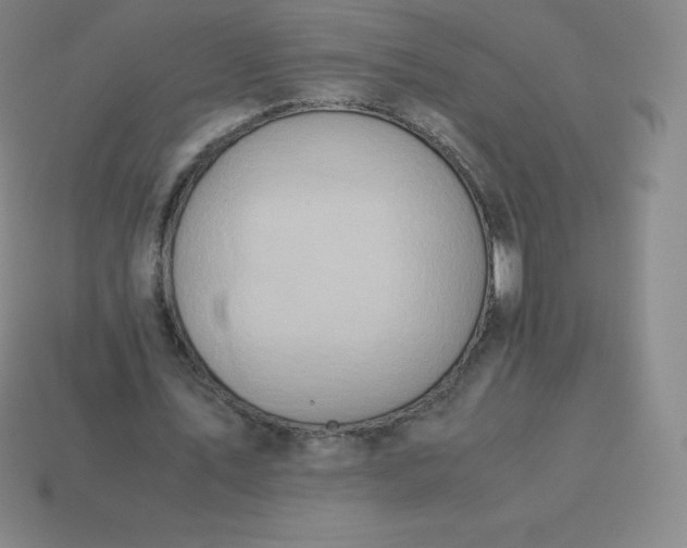 X0000113910579200910081851