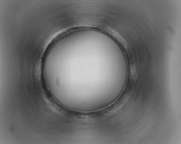 X0000113910580200910081851