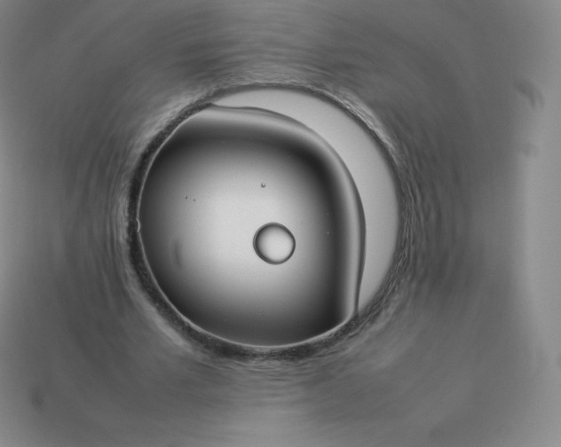 X0000113910581200910081851