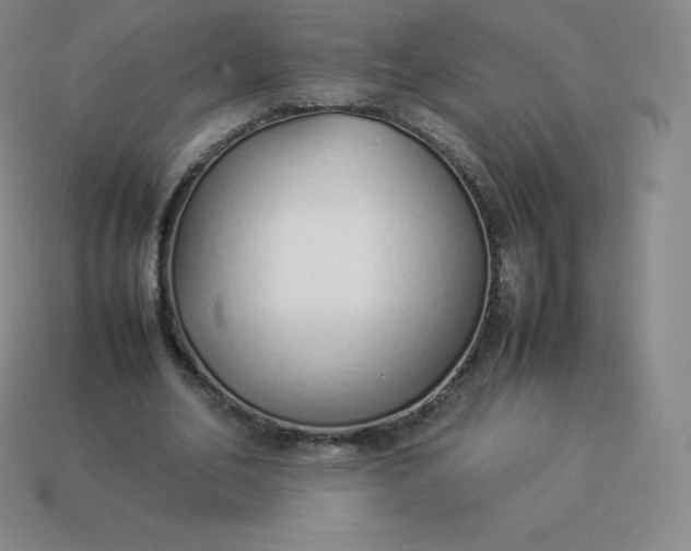 X0000113910582200910081851