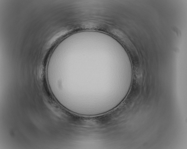 X0000113910583200910081851