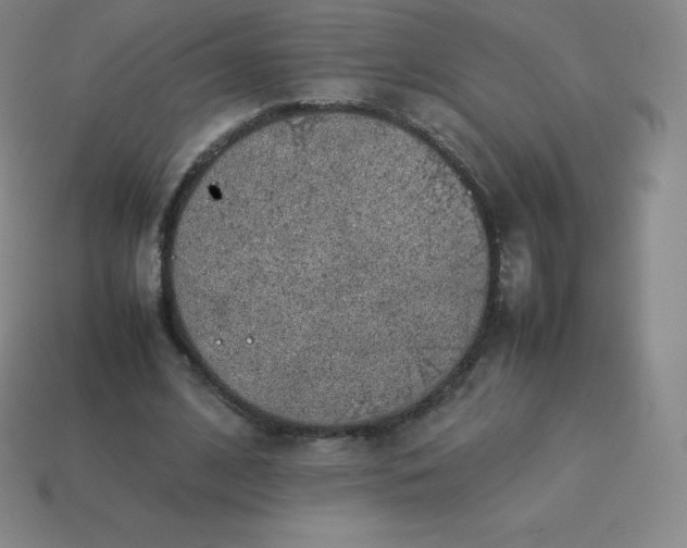 X0000113910584200910081851