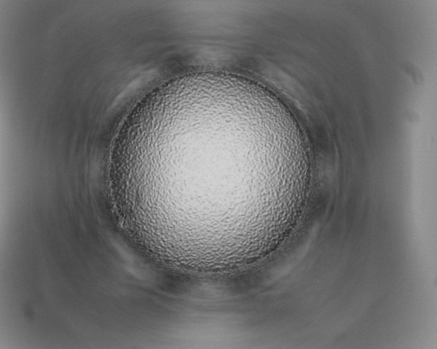 X0000113910585200910081851