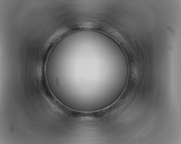 X0000113910586200910081851