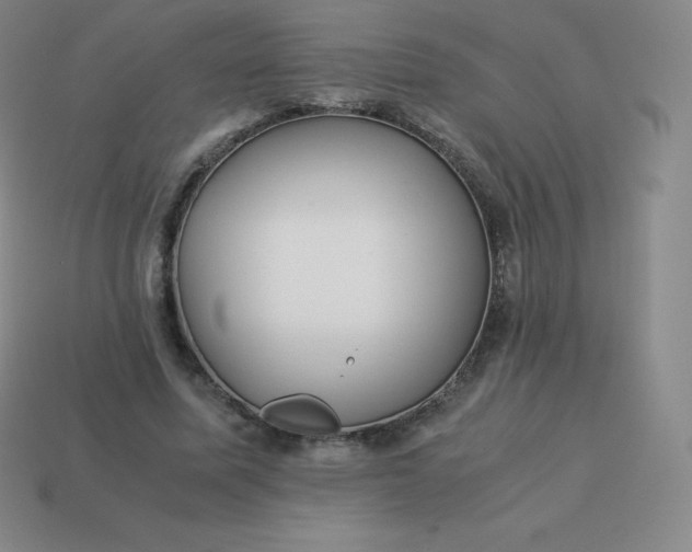 X0000113910587200910081851